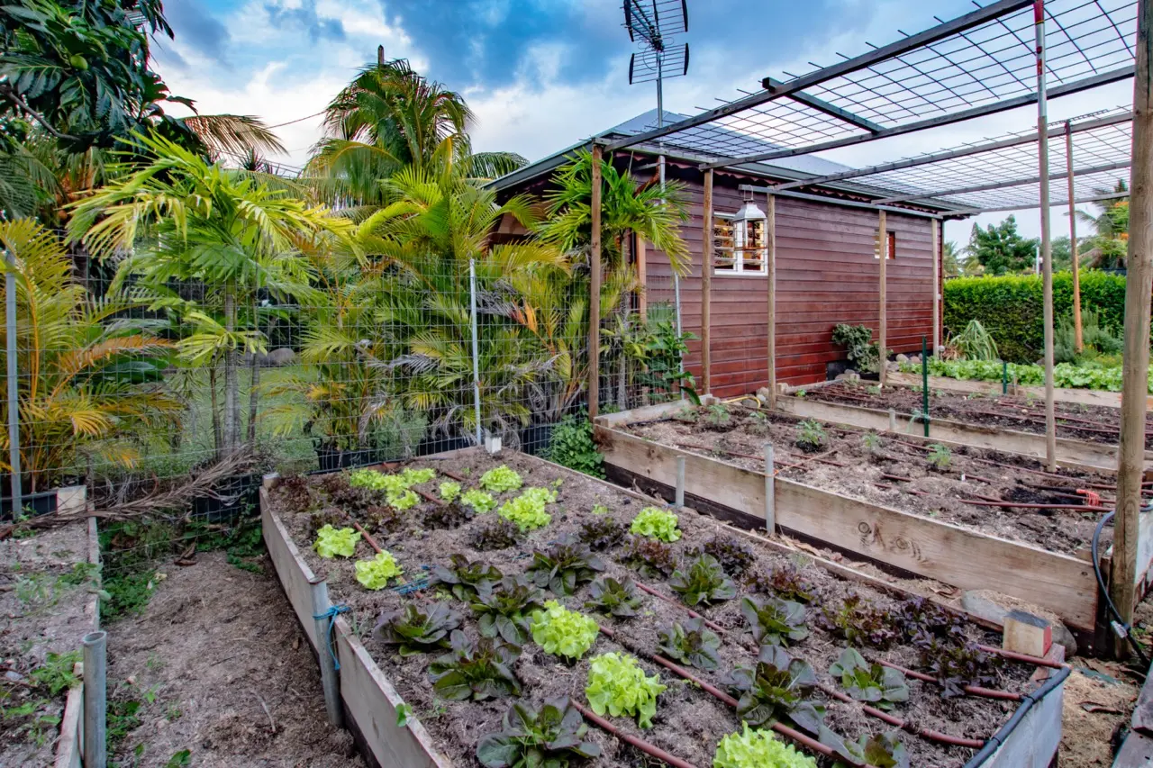 location bungalow saint francois guadeloupe